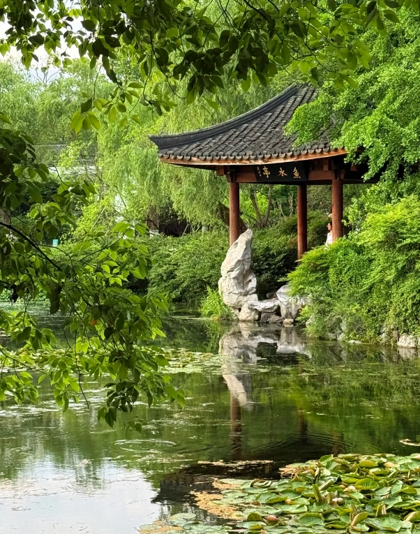 Shanghai Hangzhou day trip