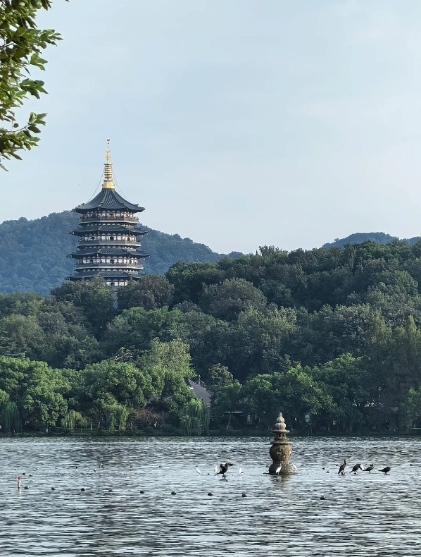 Shanghai to Hangzhou High Speed Train: Book Smart & Arrive Stress-Free
