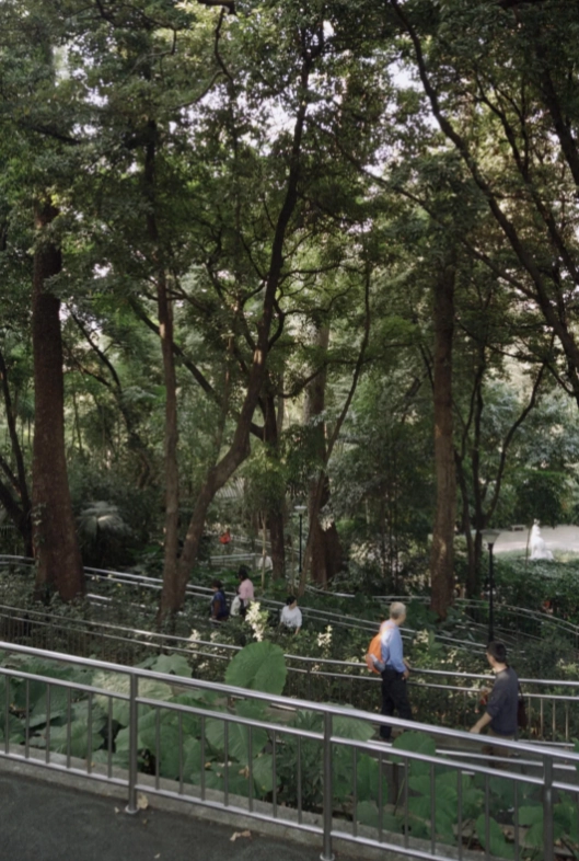 Guangzhou travel guide