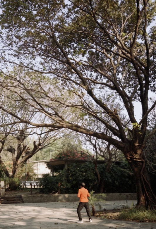 Shamian Island