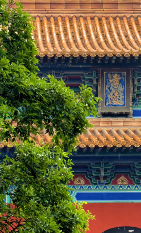 things to do in Nanjing things to do in Nanjing