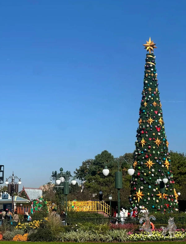 Disney app without Chinese number