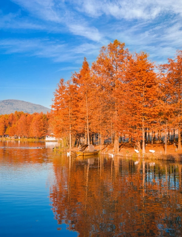 autumn in Nanjing