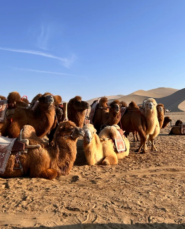 budget travel china