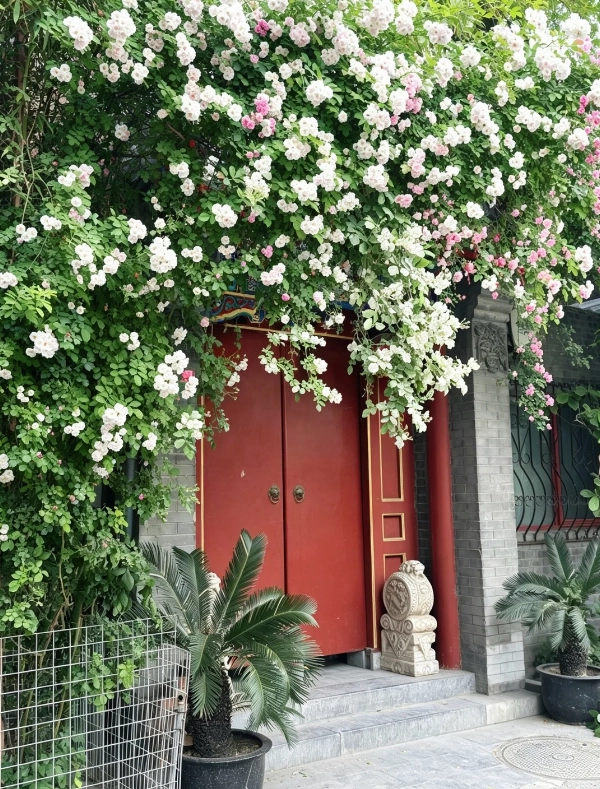 one day in Beijing