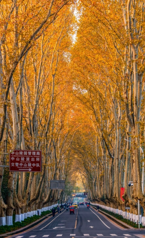 Nanjing seasonal guide