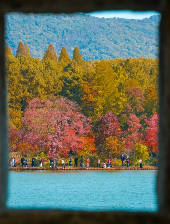 spring in Nanjing