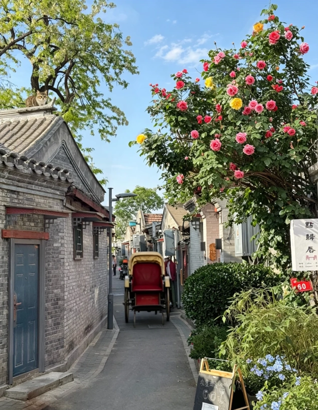 family travel China