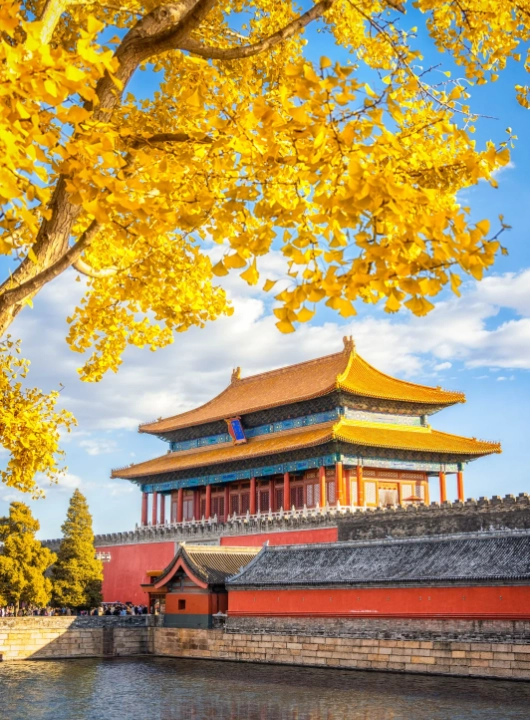 Forbidden City layover