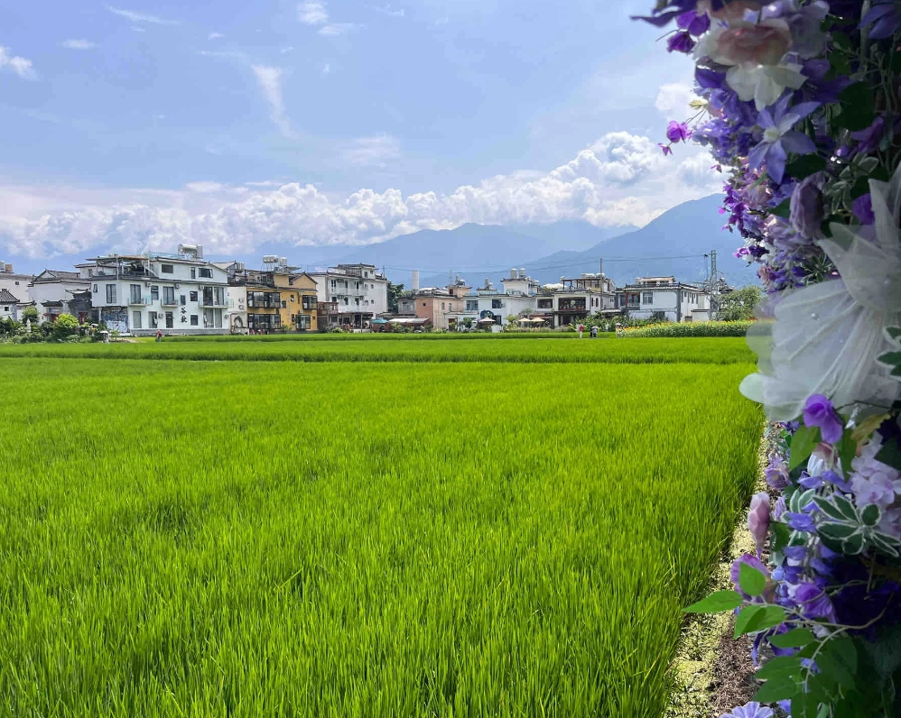 Photo of Xizhou Ancient Town: Dali ancient town