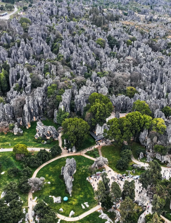 Photo of Stone Forest Scenic Area: Kunming to Stone Forest