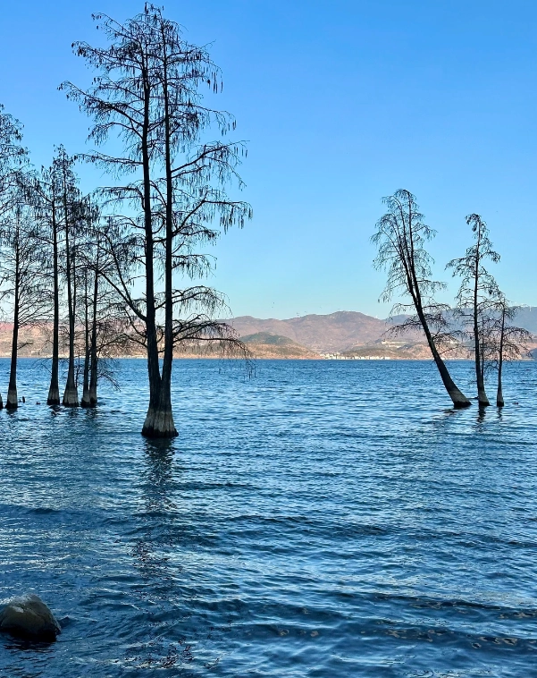 Photo of Erhai Lake: Yunnan lake tourism