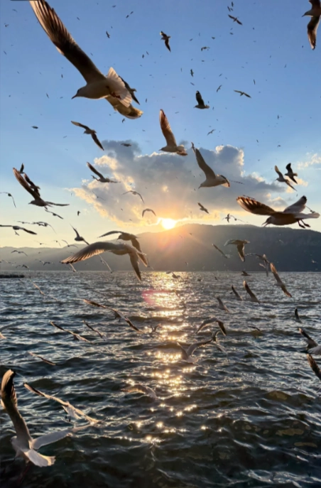 Photo of Dianchi Lake