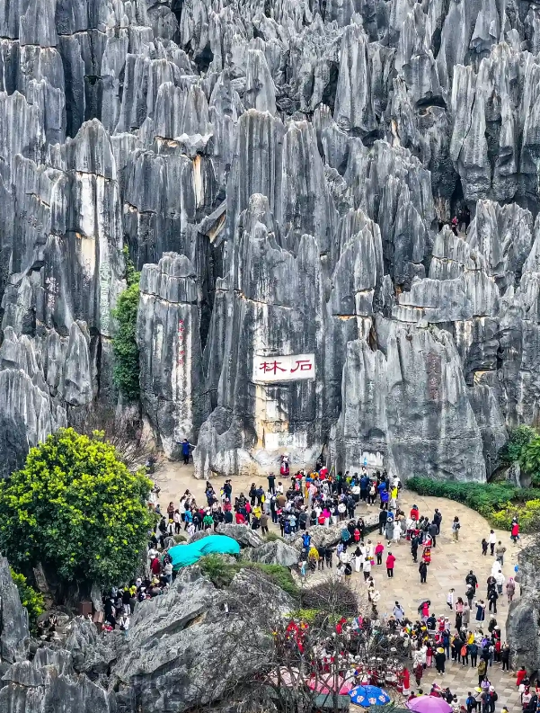 Photo of Stone Forest Scenic Area: Stone Forest travel tips