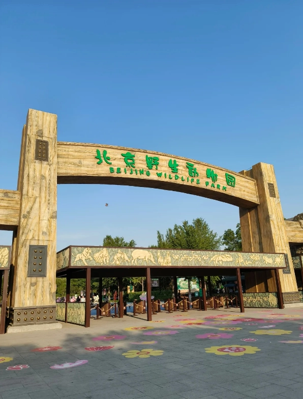 Is Beijing Wildlife Park Worth Visiting? Honest Review & Tips