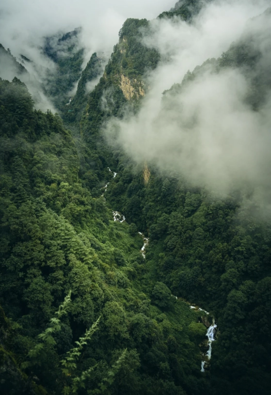 Cangshan Mountain: Hike Hidden Trails Without the Crowds
