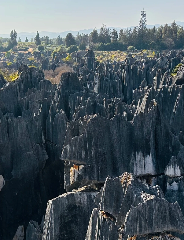 Photo of Stone Forest Scenic Area: Kunming to Stone Forest