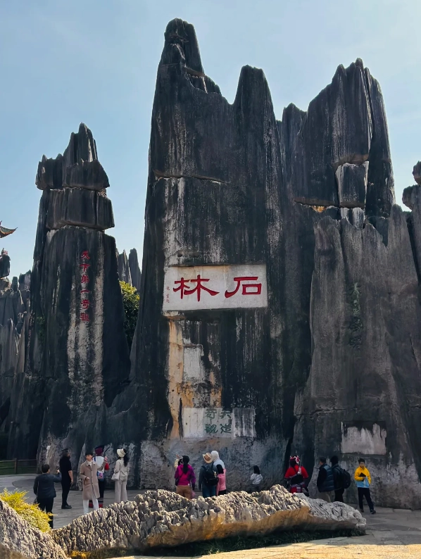 Stone Forest Scenic Area