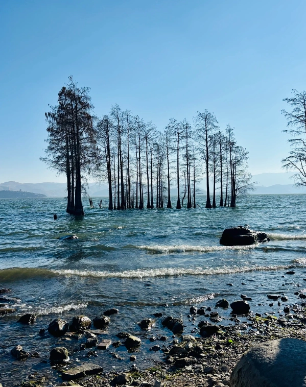 Photo of Erhai Lake: Erhai Lake travel guide