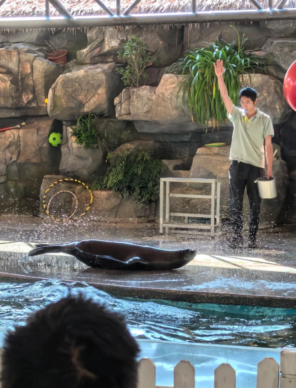 Photo of Yunnan Wildlife Park: panda Kunming