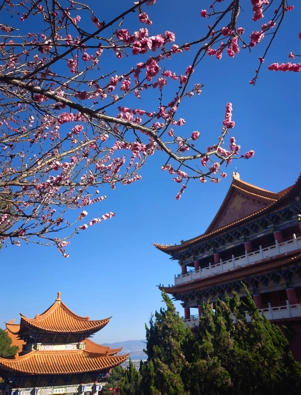 Photo of Chongsheng Temple Three-Pagoda: best time to visit Chongsheng Temple