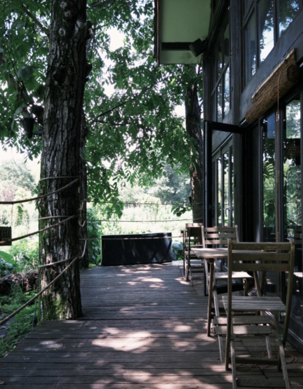 Lijiang hotels