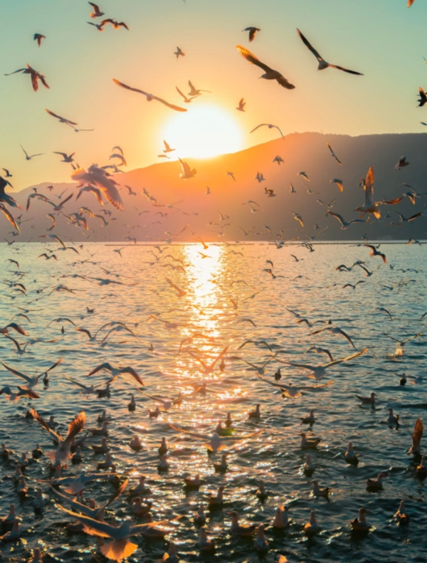 Photo of Dianchi Lake: things to do at Dianchi Lake