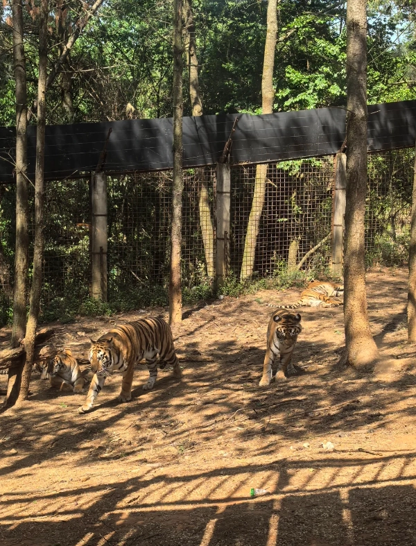 Photo of Yunnan Wildlife Park: Yunnan Wildlife Park tickets