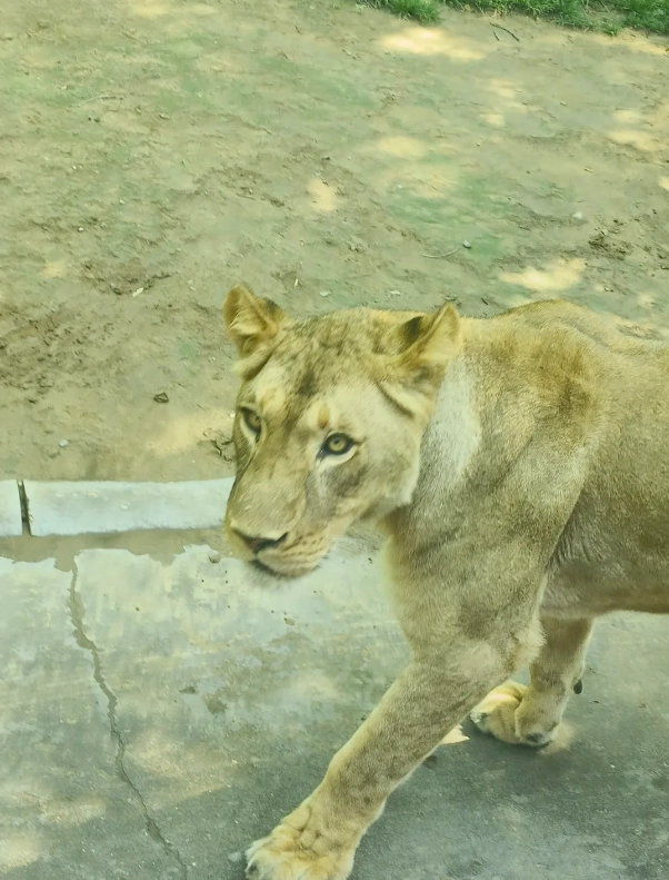 is Beijing Wildlife Park worth it