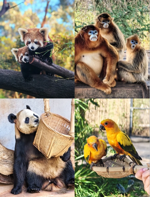 Photo of Yunnan Wildlife Park: Kunming zoo