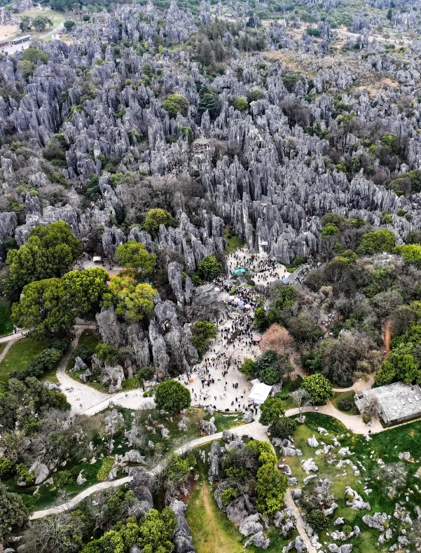 Photo of Stone Forest Scenic Area: Stone Forest tickets