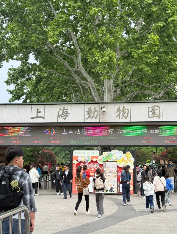 Is It Worth Going to Shanghai Zoo? A Visitor's Honest Review