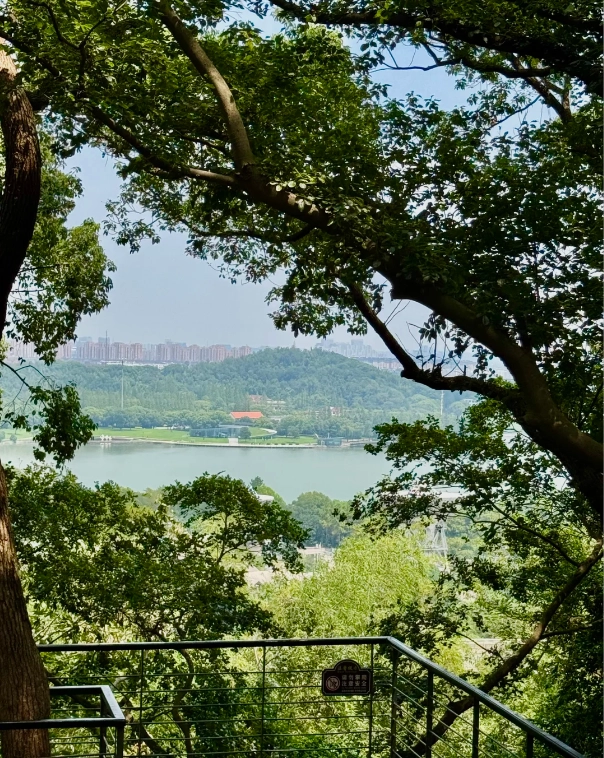 Sheshan Forest Park trails Sheshan Forest Park trails