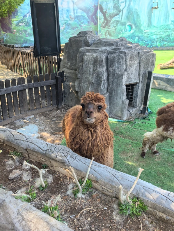 Photo of Yunnan Wildlife Park: Asian elephant sanctuary