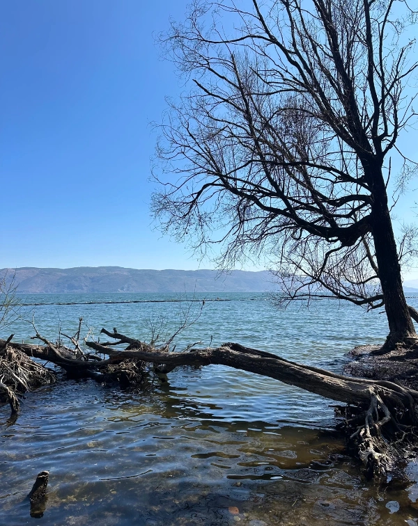 Photo of Erhai Lake: Dali Erhai Lake activities
