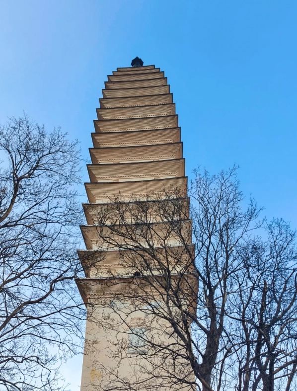 Photo of Chongsheng Temple Three-Pagoda: Chongsheng Temple tickets