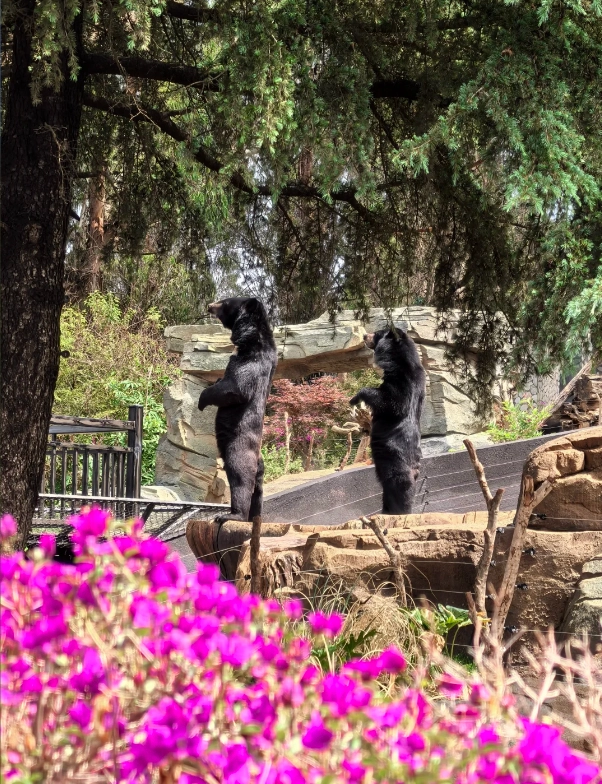 Photo of Yunnan Wildlife Park: Yunnan Wildlife Park tickets