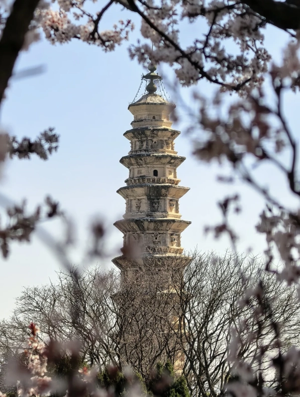 Photo of Chongsheng Temple Three-Pagoda: Dali historical sites