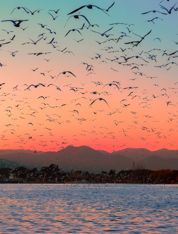 Photo of Dianchi Lake: Kunming Dianchi Lake