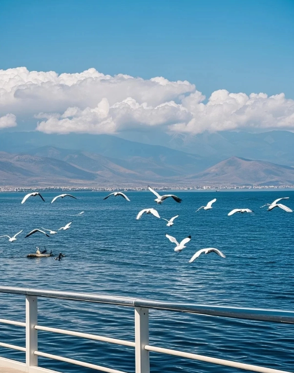 Erhai Lake boat tour
