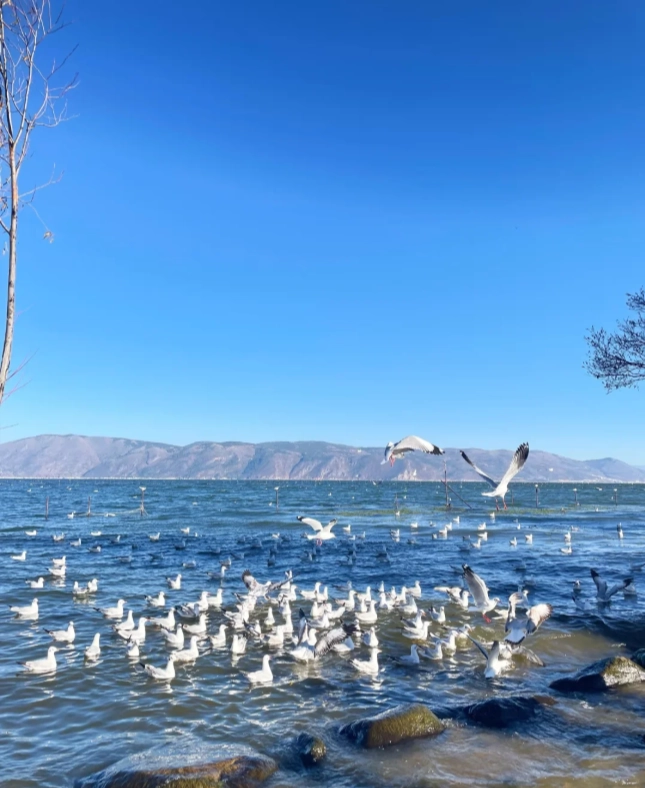 Photo of Erhai Lake: Erhai Lake boat tour