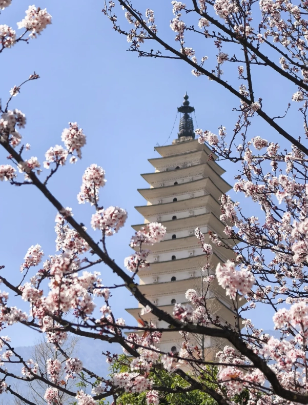 Photo of Chongsheng Temple Three-Pagoda: Chongsheng Temple tickets