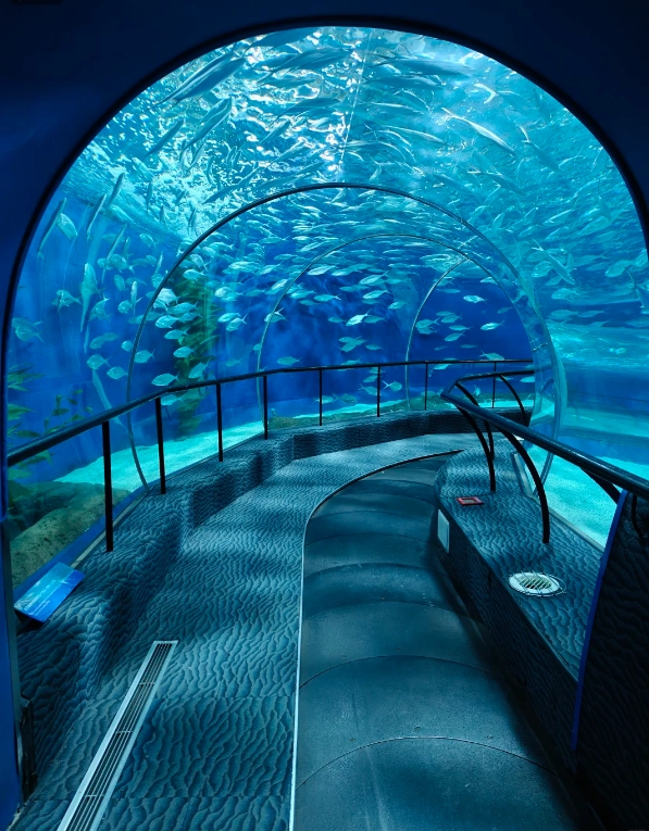 Shanghai aquarium tickets