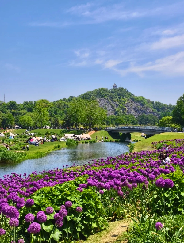 Sheshan National Forest Park Tours: A Complete Visitor's Guide