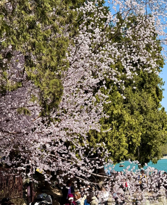 autumn in Beijing