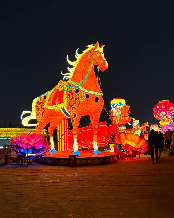 Xi'an City Wall Lantern Festival: A Complete Guide to Tickets, Timing & Must-See Displays