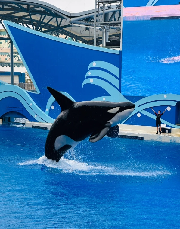 Shanghai Ocean Park tickets