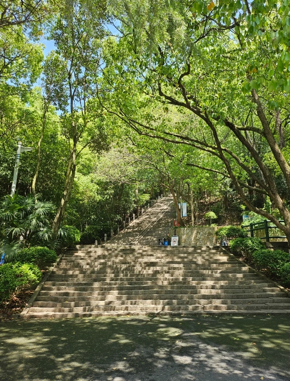 Sheshan National Forest Park