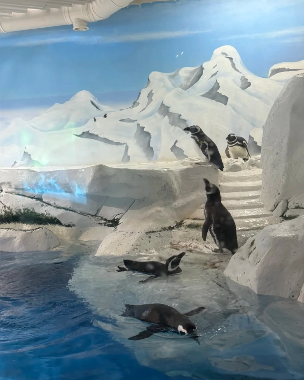 Shanghai aquarium tickets