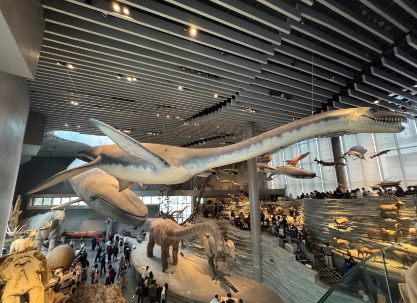 kid-friendly Shanghai